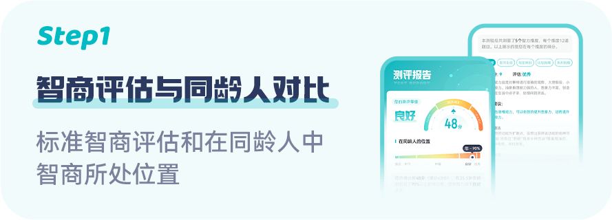 瑞文智力测试报告示例页1