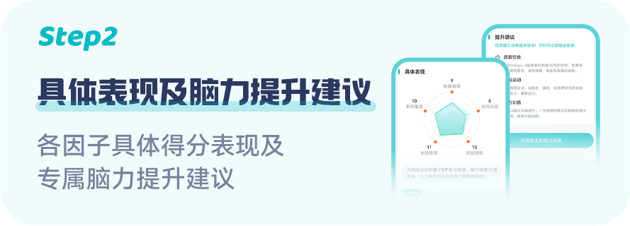 瑞文智力测试报告示例页2