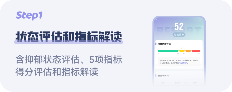 SDS报告示例页1